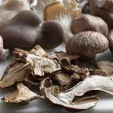Funghi Seco - 100g