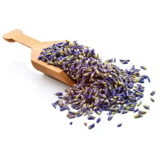 Alfazema Azul (Lavanda)