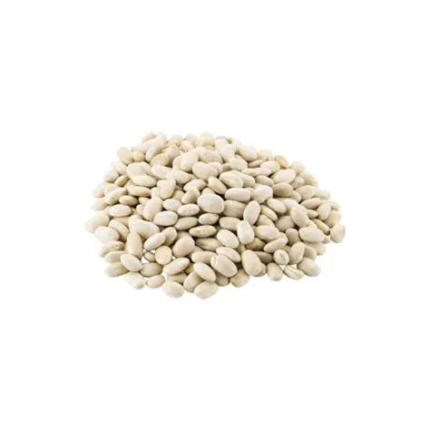 Feijão Branco Urbano 500g