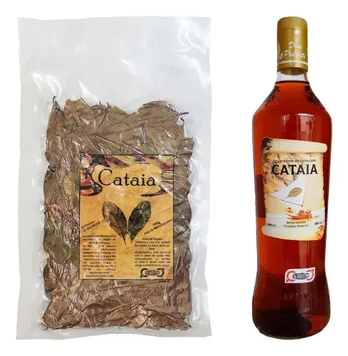 Cataia