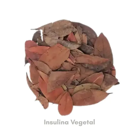 Insulina Vegetal