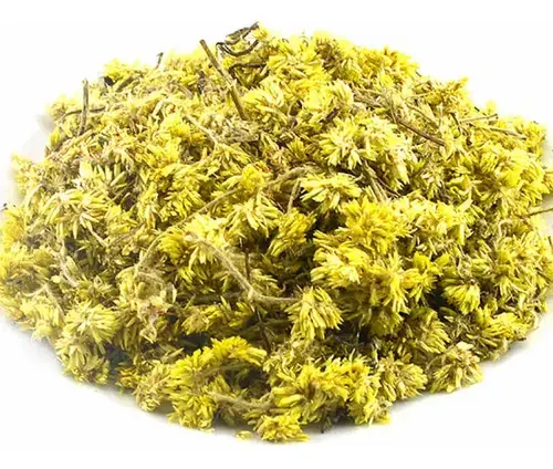 Macela em Flor
