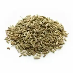 Erva-doce