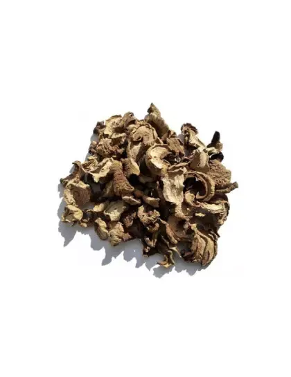 Funghi Seco Chileno