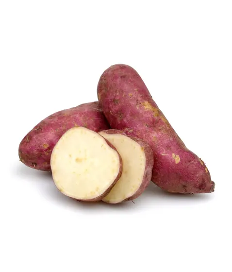 Batata-doce Orgânica