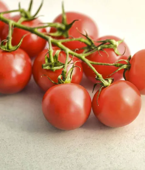 Tomate-cereja Orgânico