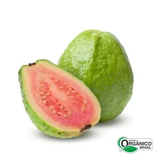 Goiaba Orgânica