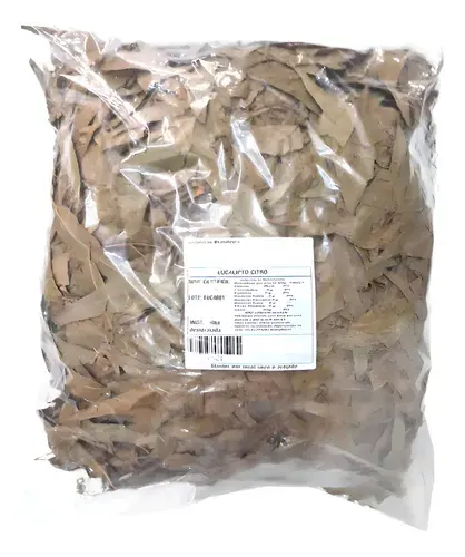 Eucalipto Citriodora