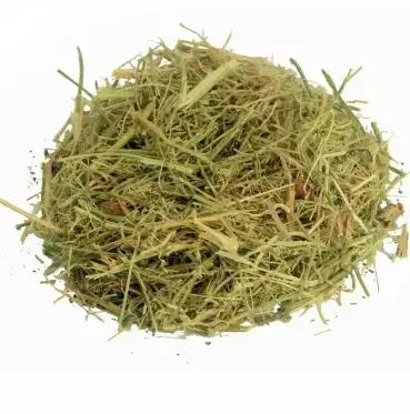 Melão-de-são-caetano