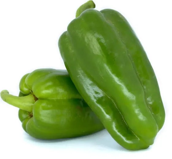 Pimentão Verde Orgânico