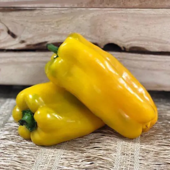 Pimentão Amarelo Orgânico