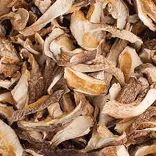 Cogumelo Shitake Desidratado 100g