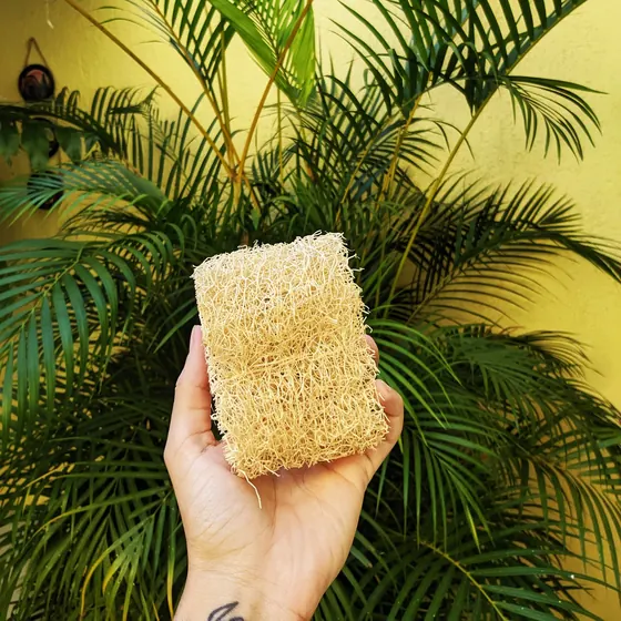 Esponja Vegetal