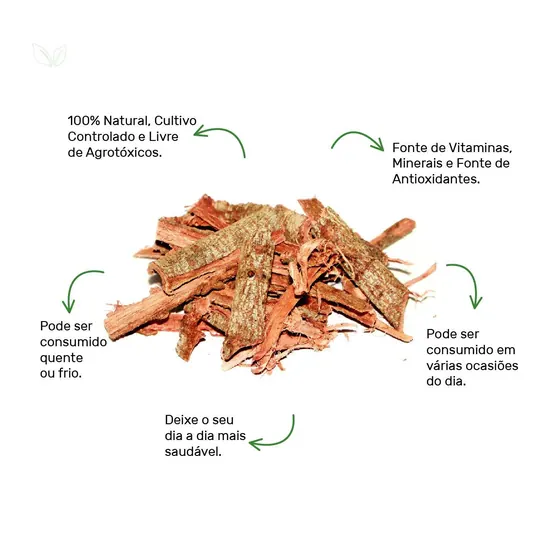 Jurema