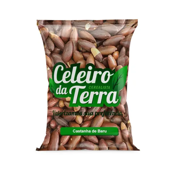 Castanha de Baru Torrada