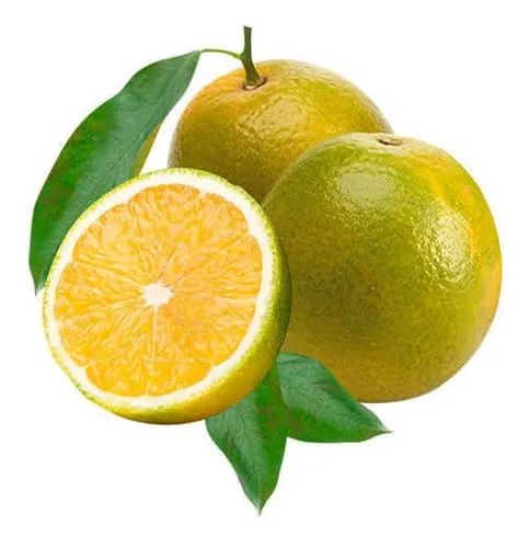 Laranja-pera