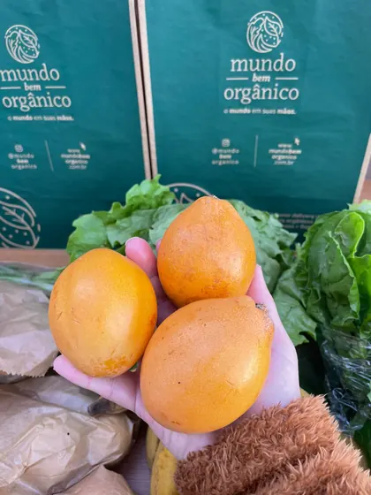 Maracujá Orgânico