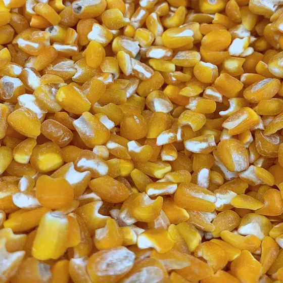 Canjica Amarela