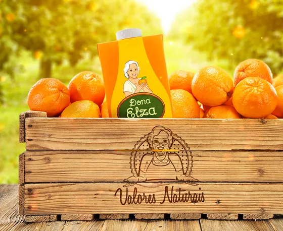 Suco de Laranja Dona Elza 200ml