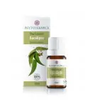 Óleo Essencial de Eucalipto Globulus Phytoterápica 10ml