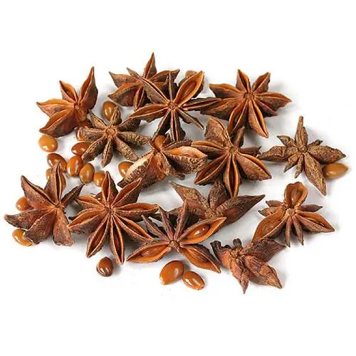 Anis Estrelado 100g